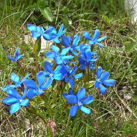 Haus Gartenheim Lejlighed