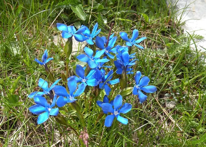 Haus Gartenheim Apartmán
