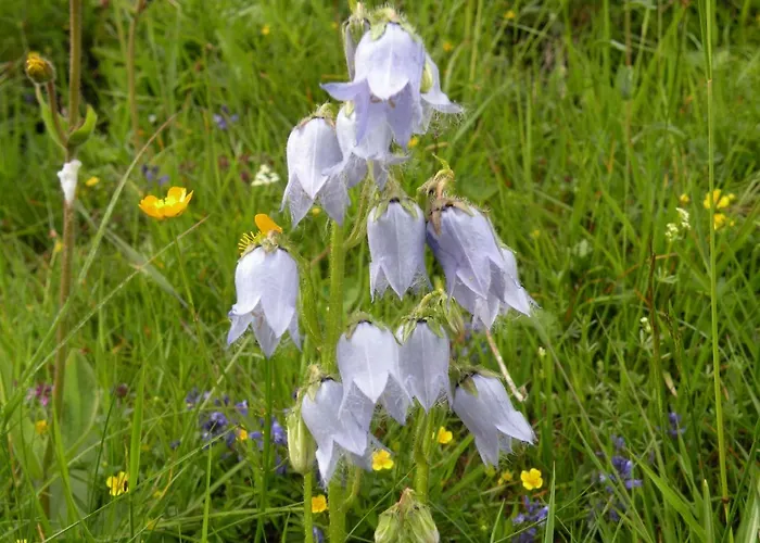 Haus Gartenheim * Kals-am Großglockner